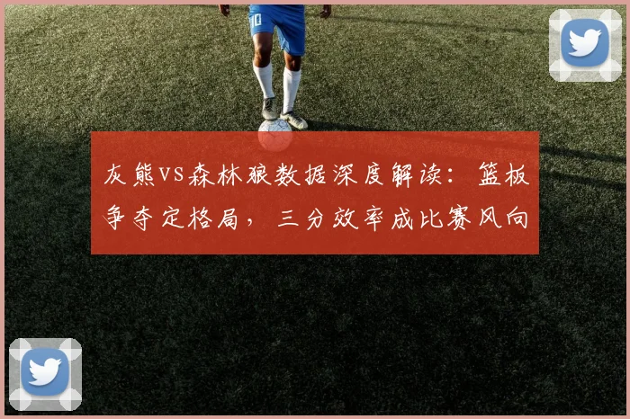 灰熊vs森林狼数据深度解读：篮板争夺定格局，三分效率成比赛风向标