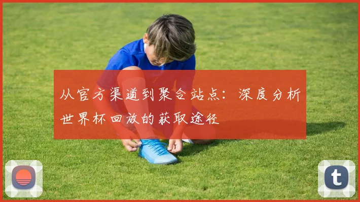 从官方渠道到聚合站点:深度分析世界杯回放的获取途径