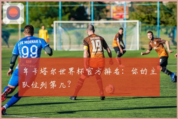 年卡塔尔世界杯官方排名：你的主队位列第几？