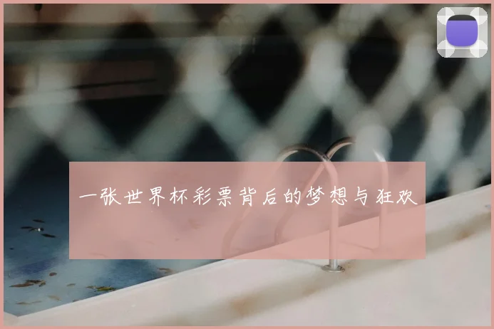 一张世界杯彩票背后的梦想与狂欢