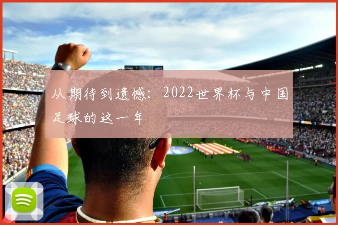 从期待到遗憾：2022世界杯与中国足球的这一年