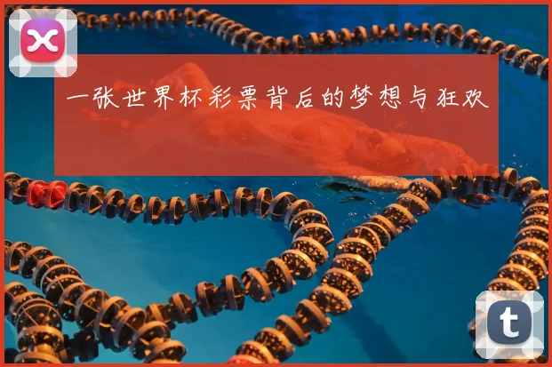 一张世界杯彩票背后的梦想与狂欢