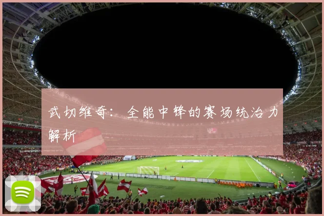 武切维奇：全能中锋的赛场统治力解析
