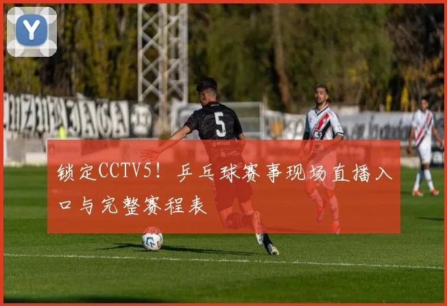 锁定CCTV5!乒乓球赛事现场直播入口与完整赛程表