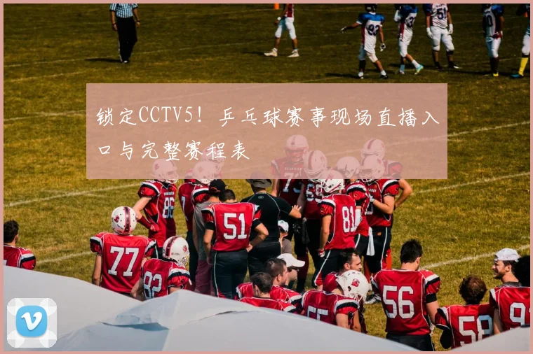 锁定CCTV5！乒乓球赛事现场直播入口与完整赛程表