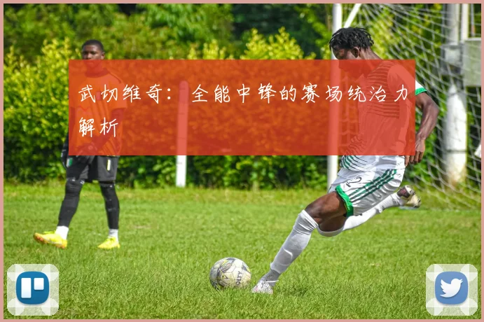 武切维奇：全能中锋的赛场统治力解析